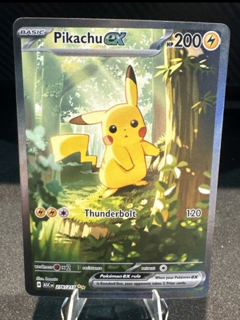 Pikachu Treekachu Pokemon